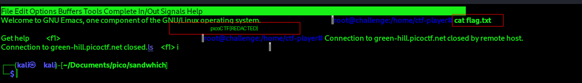 Reading flag.txt from the root shell